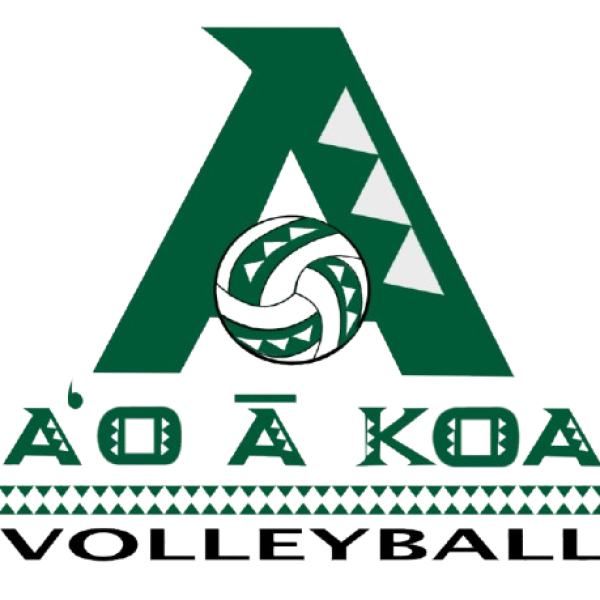 aok_full-removebg-preview